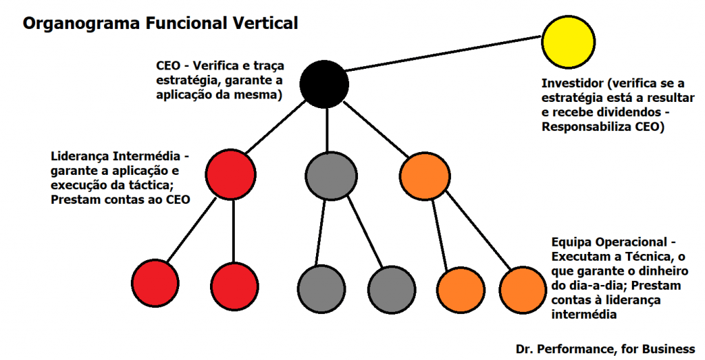 organograma funcional vertical, por Sacha Matias e Dr Performance for Business